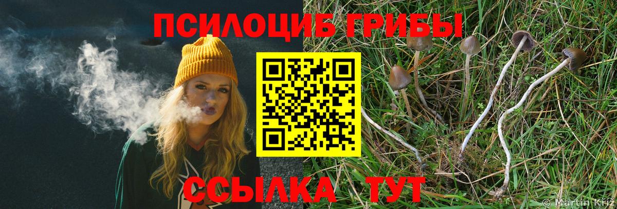 Галлюциногенные грибы прущие грибы Мурино