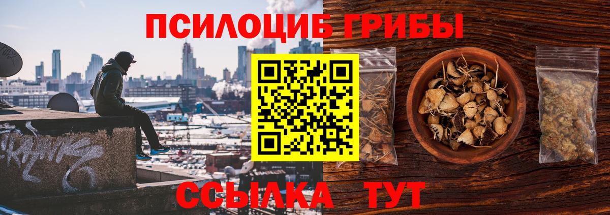 Мурино  Псилоцибиновые грибы мицелий  купить закладку  Вход с VPN 