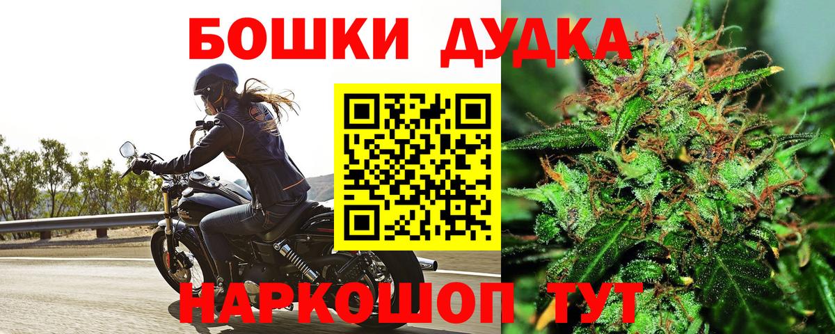 Каннабис White Widow  Каннабис план  Вход с VPN  Каннабис планчик  Конопля тримм  Мурино 
